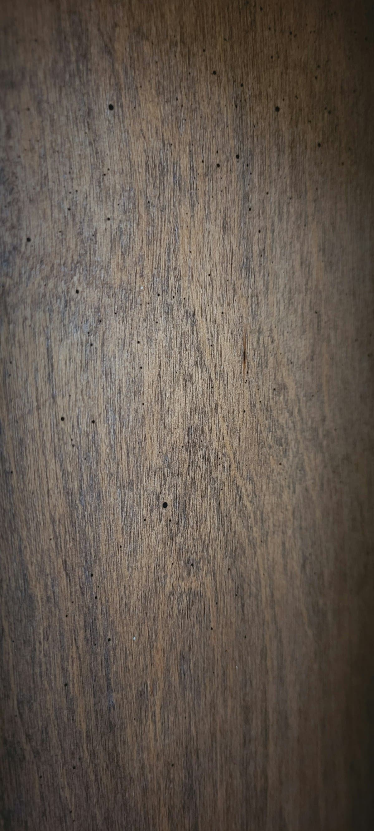 Standing Desk Pro block-board oak